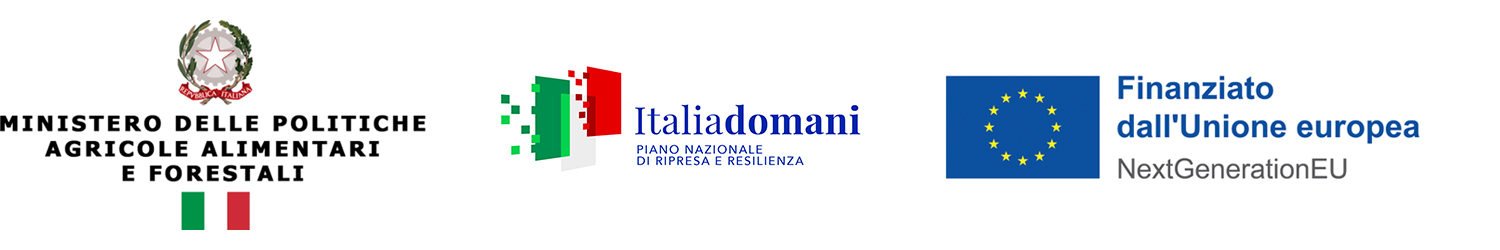 loghi nrr sezione