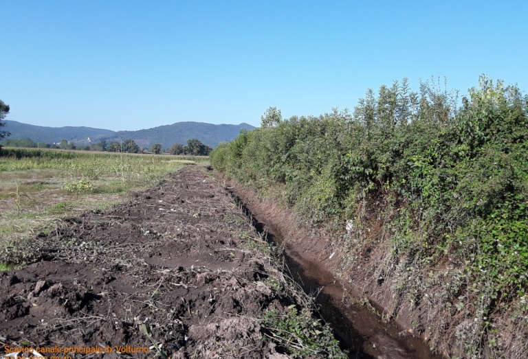 Baia e Latina 2023