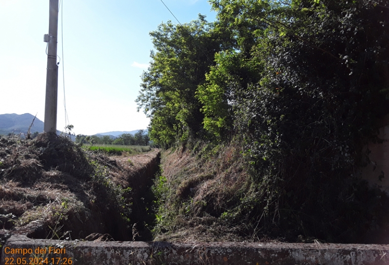 Baia e Latina 2024