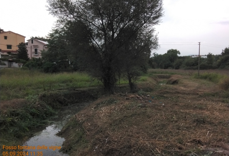 Castel Campagnano 2024