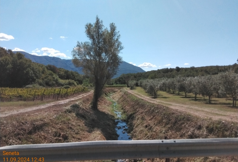 Castelvenere 2024