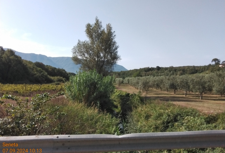 Castelvenere 2024