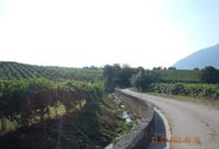 Comune di Guardia Sanframondi - Rio Capuano