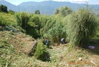 Comune di Guardia Sanframondi - Ratello