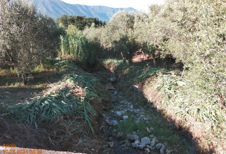 Guardia Sanframondi 2024