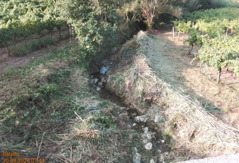 Guardia Sanframondi 2024