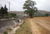 Comune di Piana di Monteverna - Canale Starze