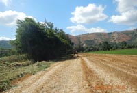 Comune di Piana di Monteverna - Canale Metapaoli