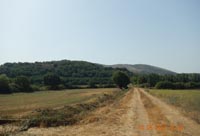 Comune di Piana di Monteverna - Cornieri