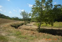 Comune di Piana di Monteverna - Canale Acquerello