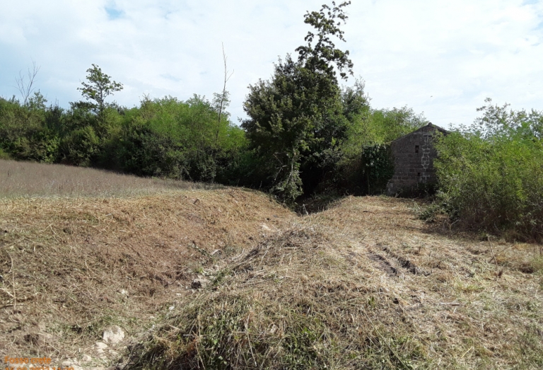 Comune di Piana di Monteverna - Anno 2023