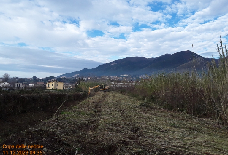Comune di Piedimonte Matese - Anno 2023
