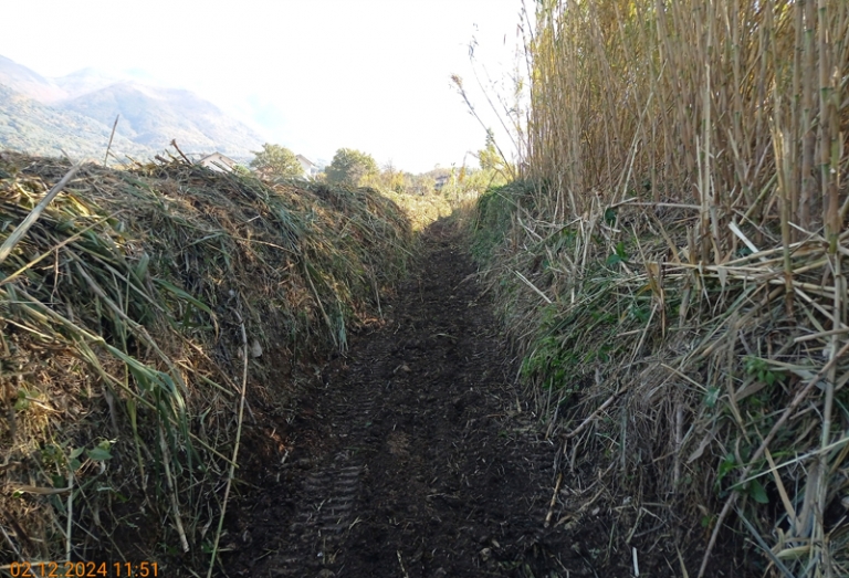 Piedimonte Matese 2024