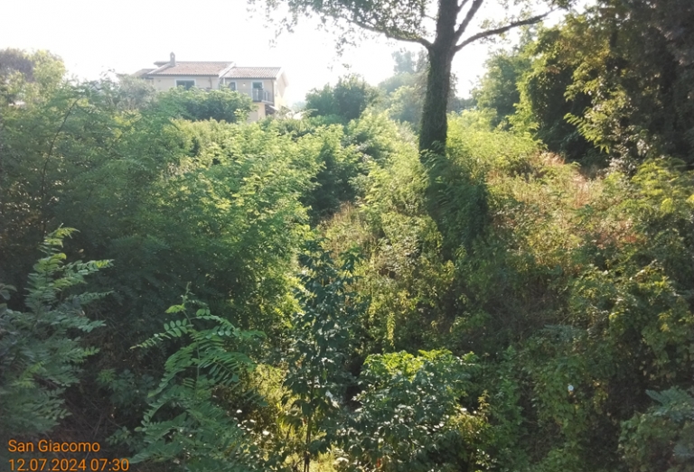 Puglianello 2024