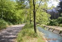 Comune di San Salvatore Telesino - Canale Relax