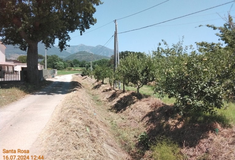 San Salvatore Telesino 2024