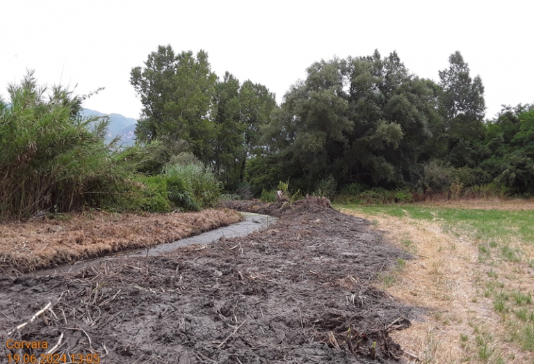 Sant'Angelo D'Alife 2024