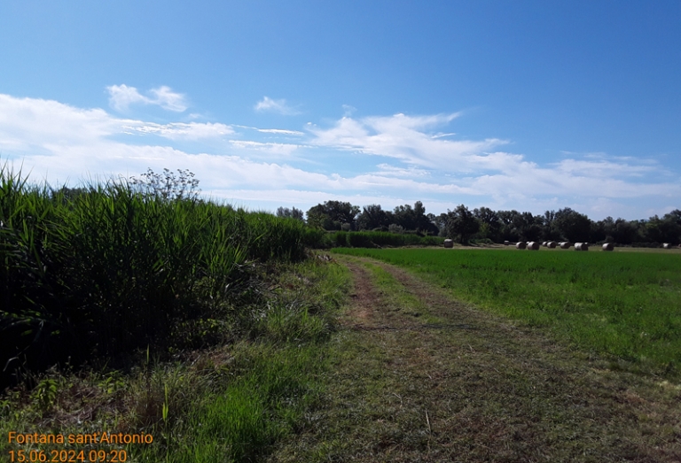 Sant'Angelo D'Alife 2024